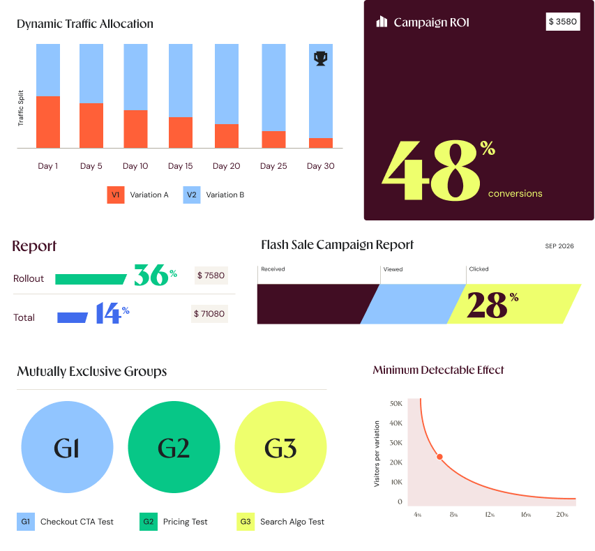 Sample Wingify product charts including traffic allocation, campaign ROI, reports, exclusive groups, and minimum detectable effect
